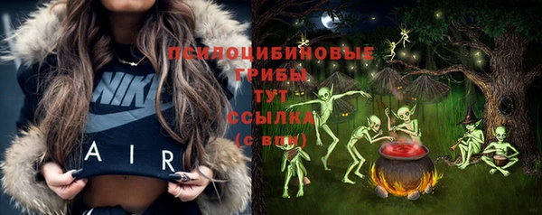 МДПВ Алзамай
