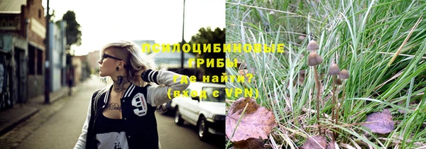 гидра Алексин